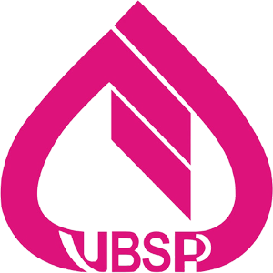 VBSP logo